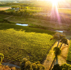 Australsk vinsmagning
