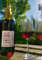 Poderi Cellario - 'Rosso Vasca 2' Langhe, Rød Naturvin (2 Liter)