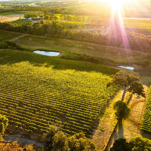 Australsk vinsmagning