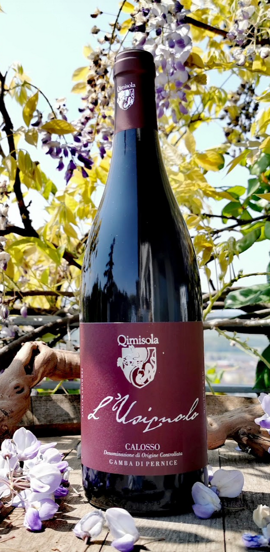 2019 Gamba di Pernice "L'Usignolo" Calosso DOC, Qimisola
